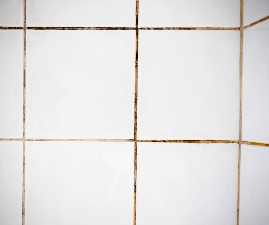 Ron gạch bị đen mốc giữa các khe gạch tường phòng tắm