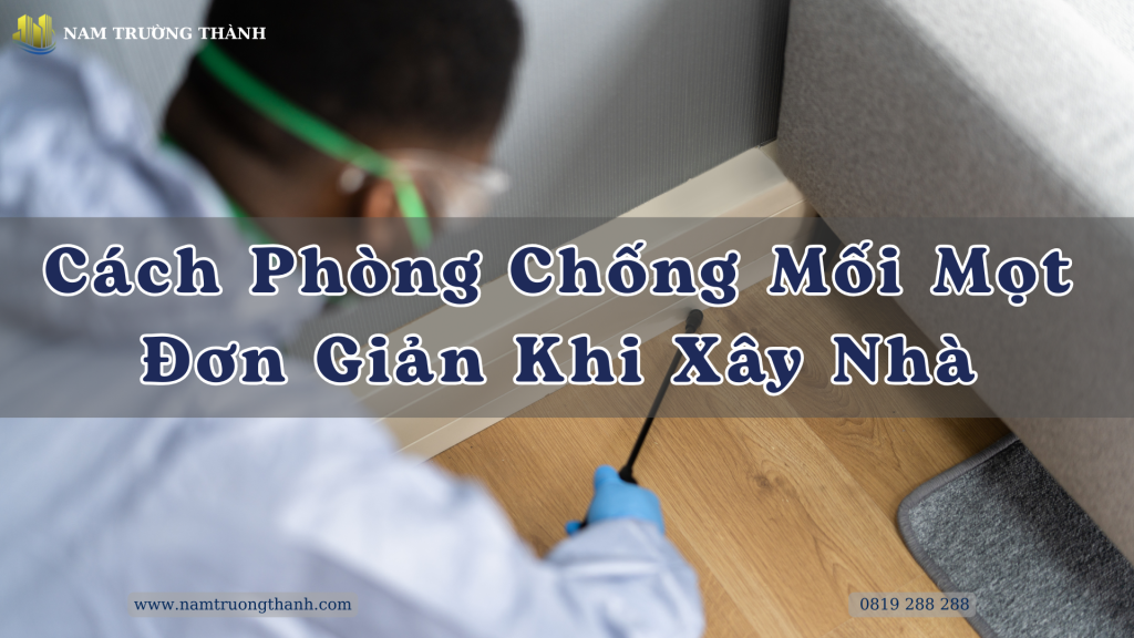 Cách Phòng Chống Mối Mọt Đơn Giản Khi Xây Nhà