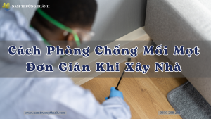Cách Phòng Chống Mối Mọt Đơn Giản Khi Xây Nhà